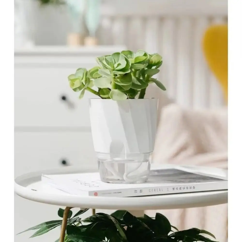 Fully Transparent Self Watering Planter Clear Design White Clear Watering Pot Self-Watering Watering Container Office Desk