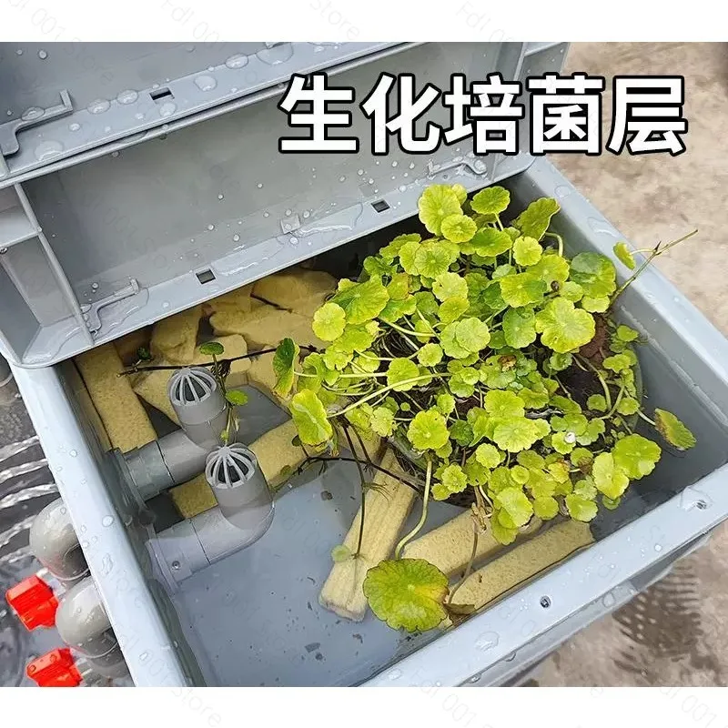 Eco Turtle Tank Filter System for Mixed Fish Turtle Breeding, Low Maintenance Aquarium Kit (Pump Not Included)