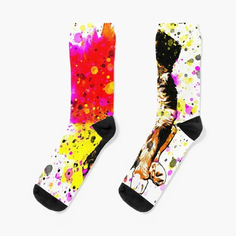 

Oil painting art of a dog . Im a dog love Socks Run halloween winter thermal Women's Socks Men's