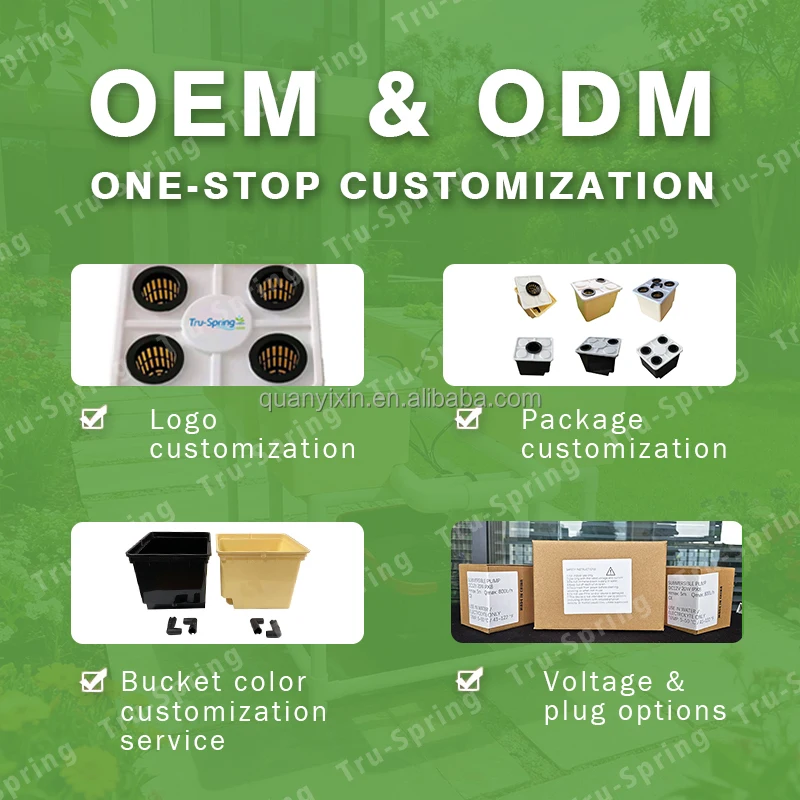 Dutch Bucket Hydroponic System Kit With LED Grow Light Bato Bucket Drip Irrigation For Greenhouse Tomato Strawberry Growing - view 3
