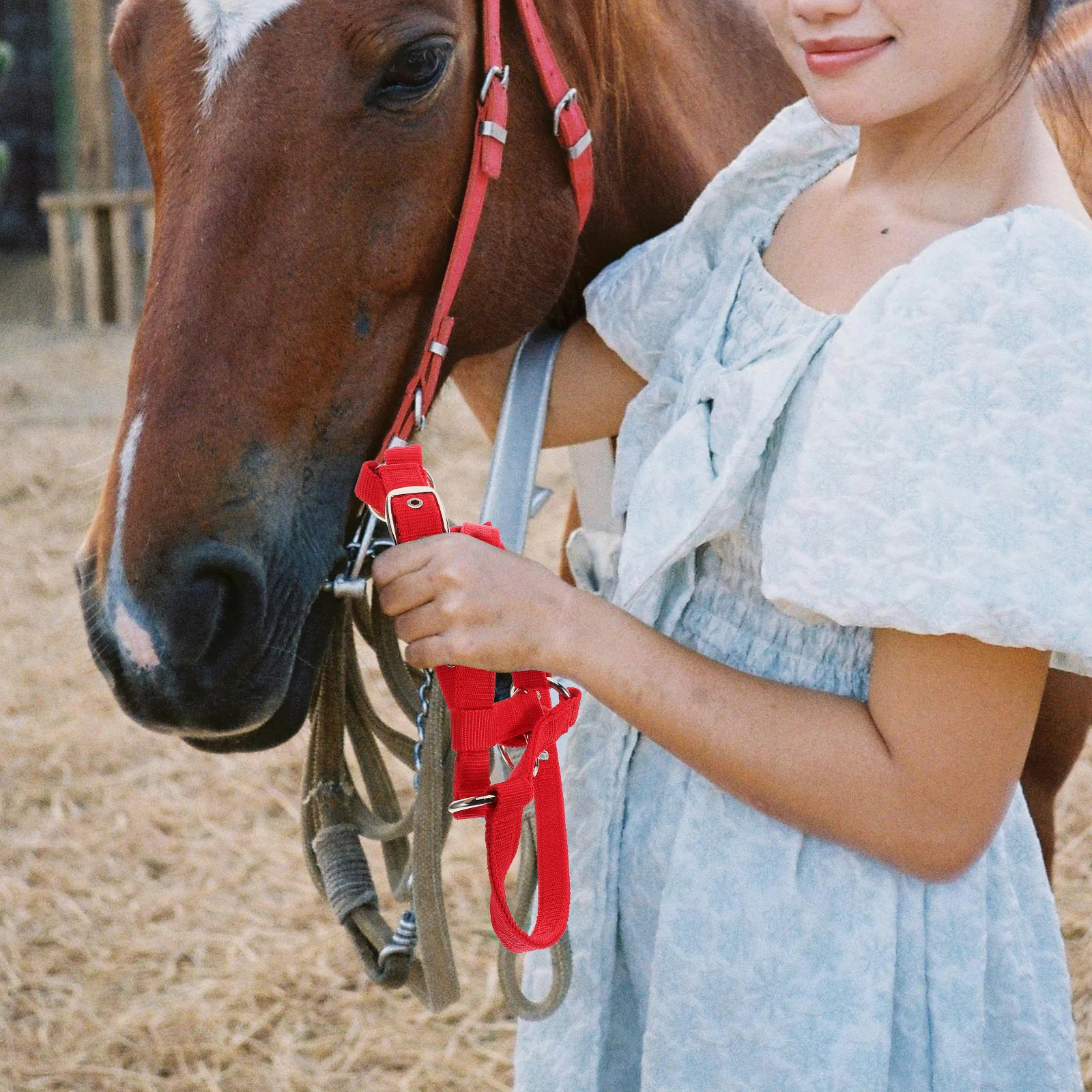

Childrens Horse Training Equipment Padded Halter with Rope Strong Nylon Material for Effective Equestrian Skill Building