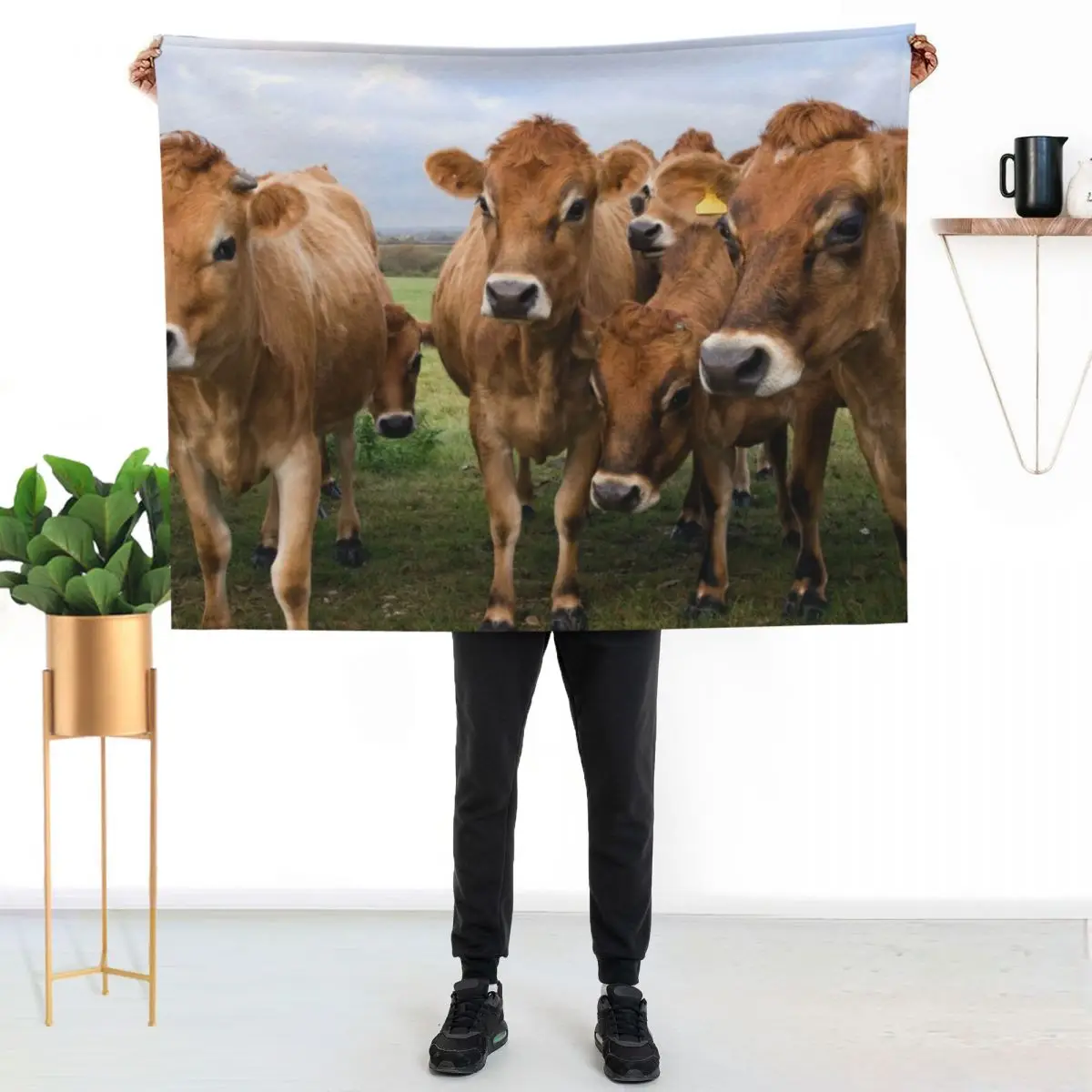 Curious Jersey Cows Throw Blanket Flannels For Decorative Sofa Soft Big Soft Thin Flannel Fabric Blankets