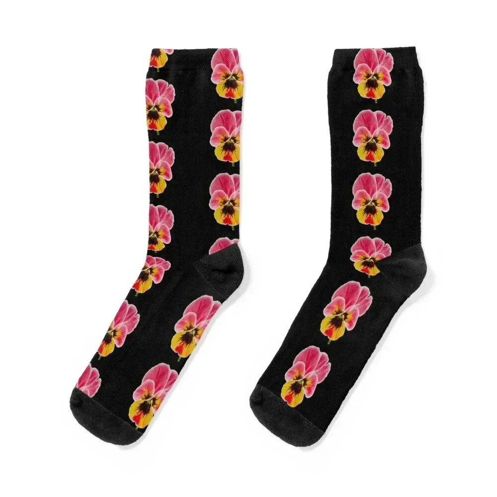 

Pansy Socks Lots colored cycling sport Women's Socks Men's
