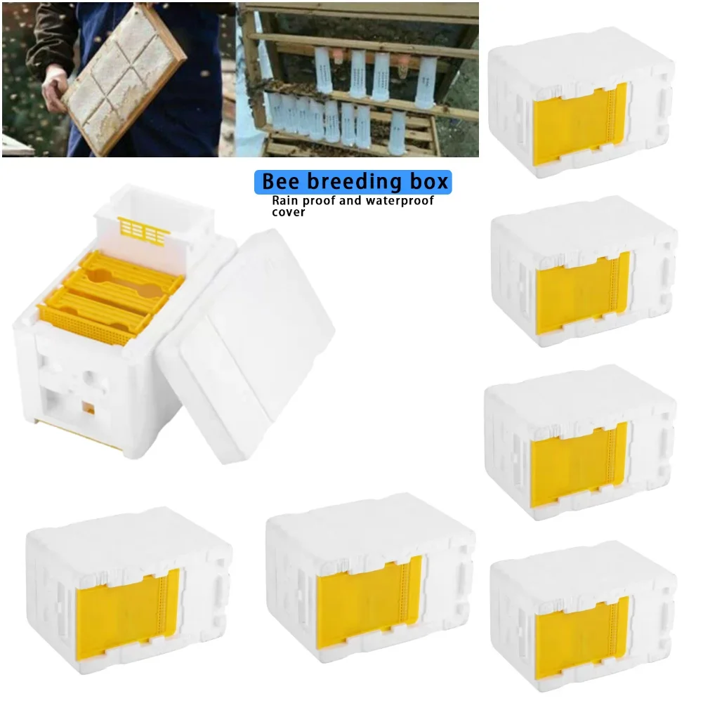 

Beekeeping Tools Beekeeper Supplies Bee Hive Frame Holder Equipment Kit Beehive Pollination King Bees Hive Box
