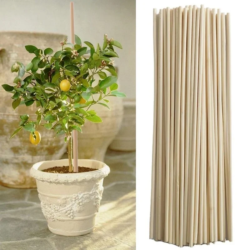 50PCS 20CM Bamboo Dowel Rods Natural Unfinished Sticks for Crafting Project DIY Home Decoration Photo Painting Props