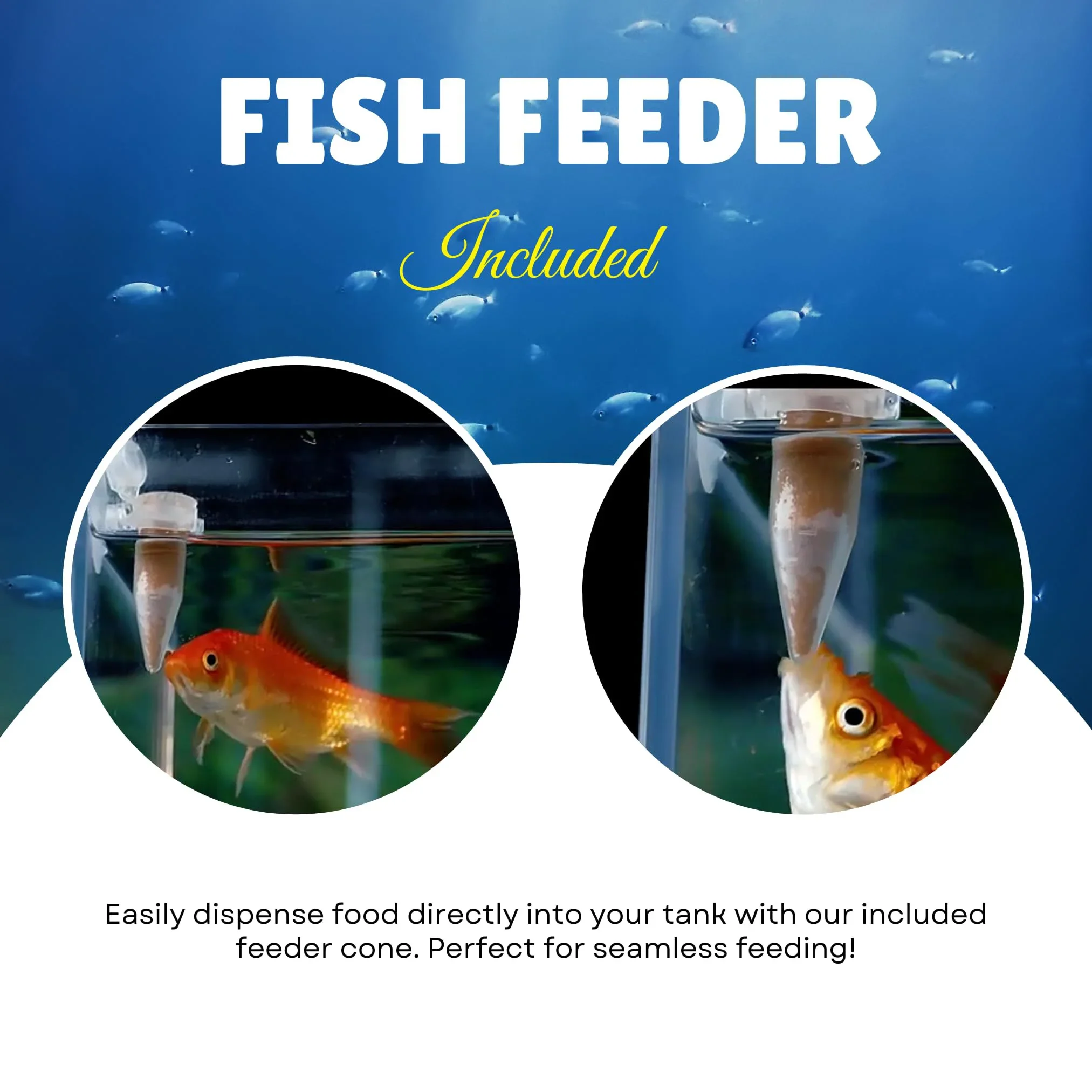 Micron Fry Starter Food for Gu - огляд і ціна Aquarium Fish Vitamin