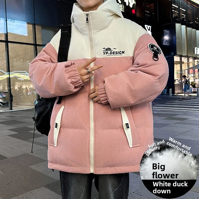 الرجعية بطة أسفل سترة الشتاء نمط جديد الوقوف طوق سستة المألوف تنوعا ملابس العمل غير رسمية سترة مبطنة بالقطن #5