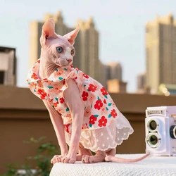 Sphinx Pet Cat Red Dresses Princess Clothes For Sphynx Kitten Floral Suspender Lace Skirt With Collar Devon Spring Autumn Summer