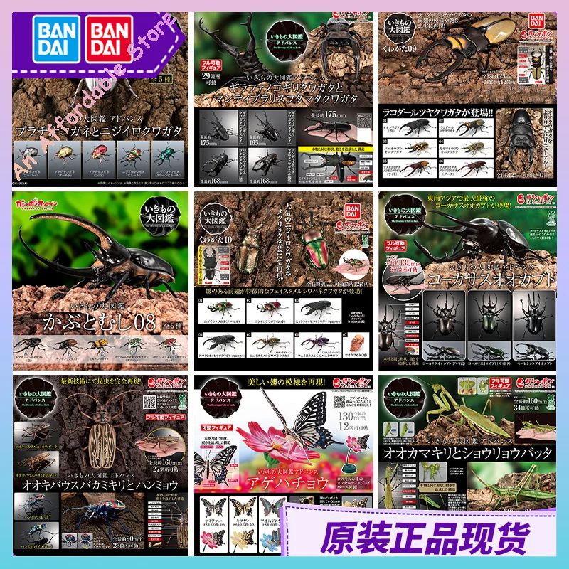 在庫あり オリジナル バンダイ アクションフィギュア 生物百科事典 カブトムシ カマキリ カブトムシ コーナーショベル 昆虫 動物モデル