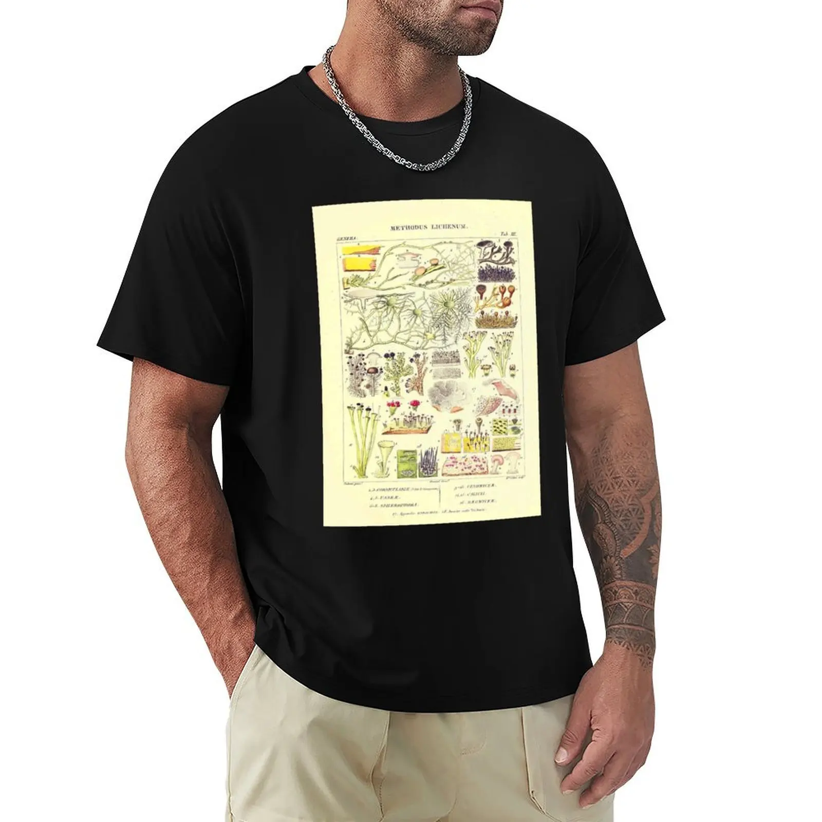 Lichen - Essai sur les cryptogames - Botanical Illustration T-Shirt graphic t shirts for man T-Shirt