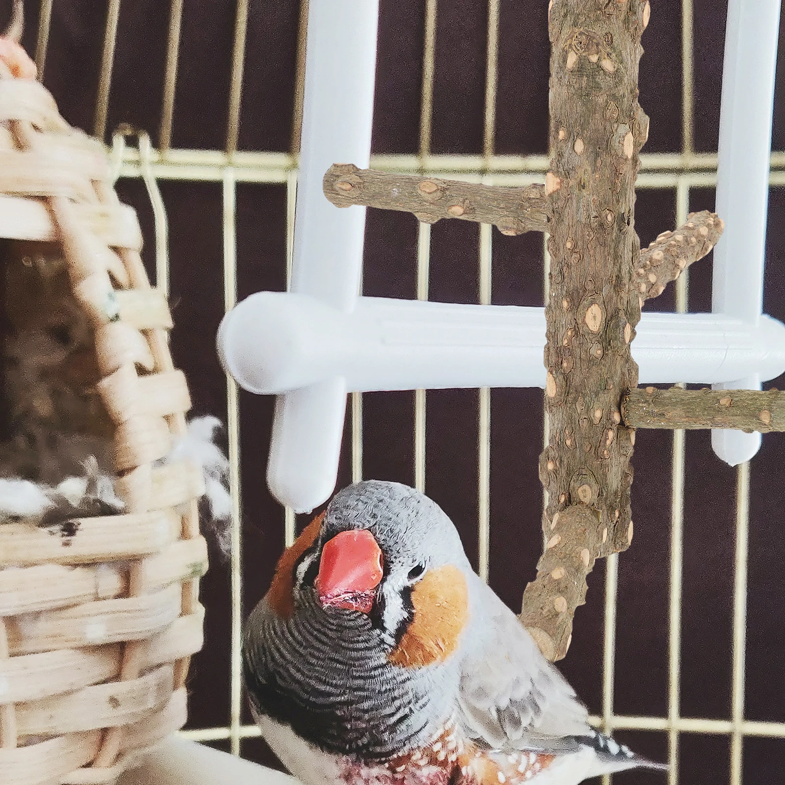 

Parrot Perch Toy Bird Cage Accessories Wood Branches for ParrotsWood Small Size Rotating Durable Portable Playtime Exercise