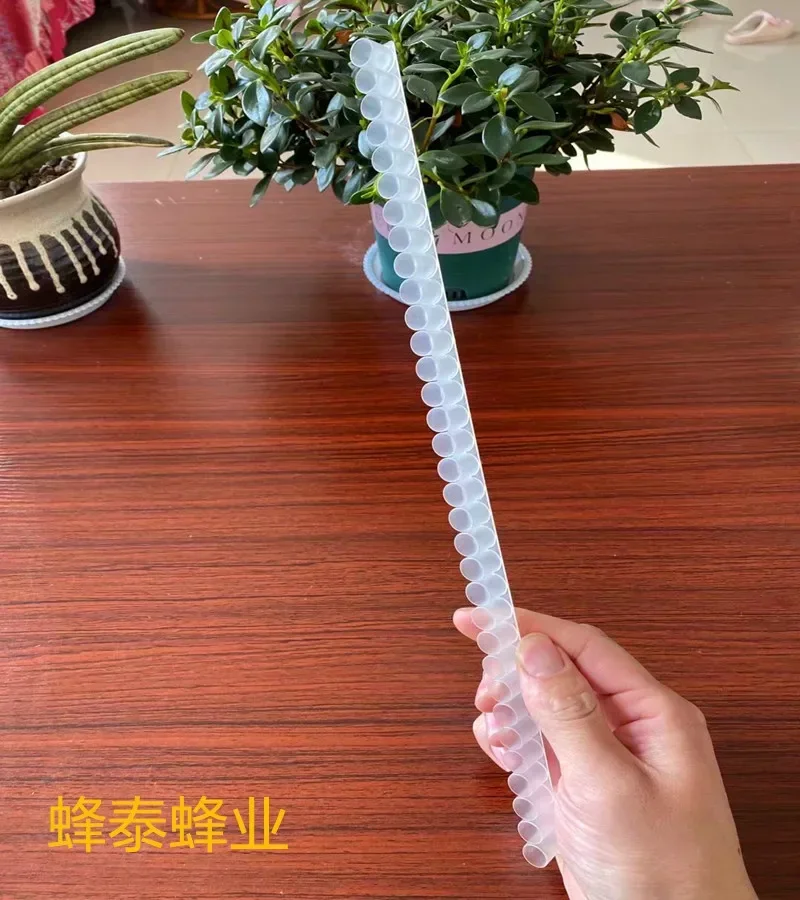 A Plastic Single Row 33 Holes, Royal Jelly Bar Base, Construction Tool, 100Pcs
