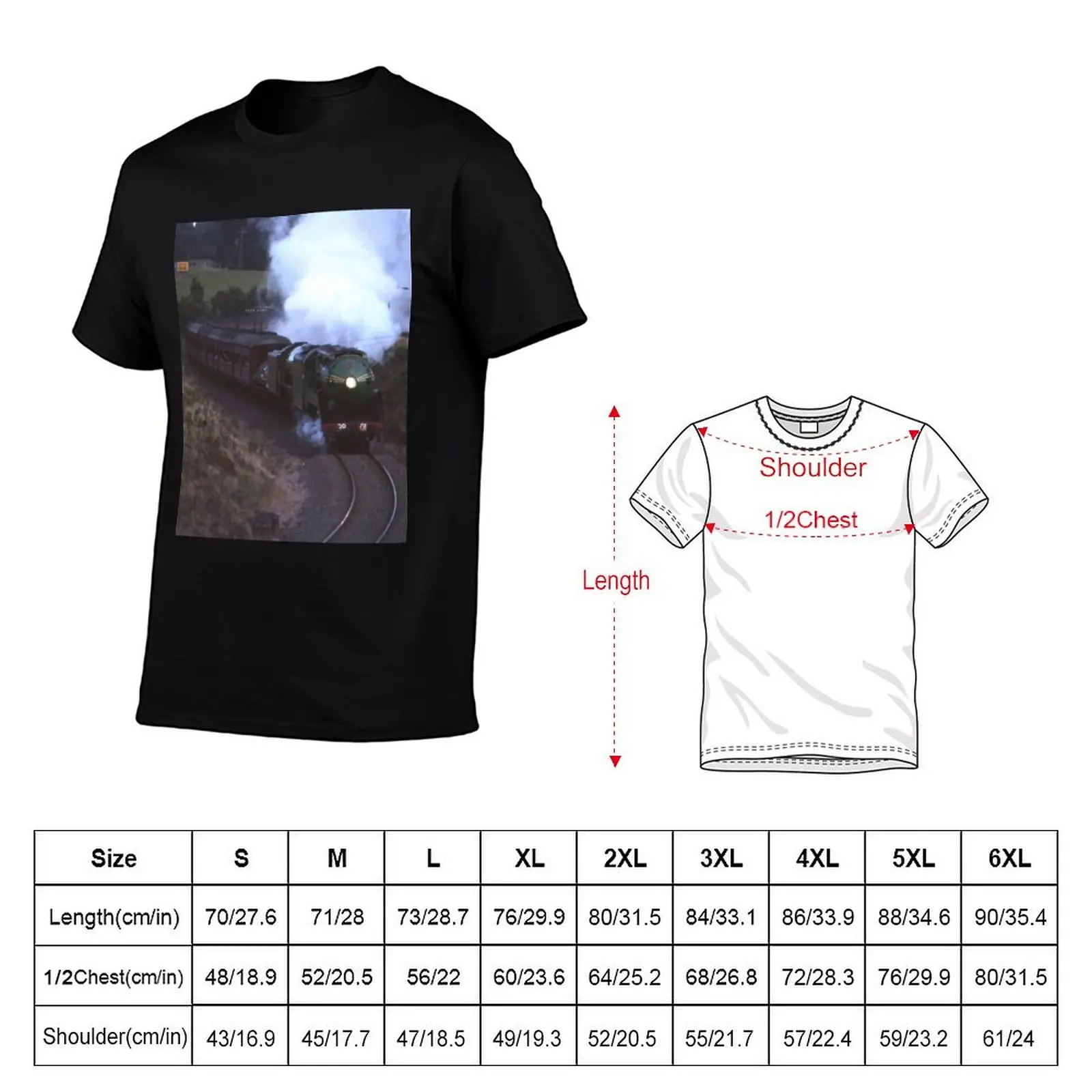 3801 & Flying Scotsman Robertson,NSW,Australia 1989 T-Shirt Big and Tall Gym T-Shirt