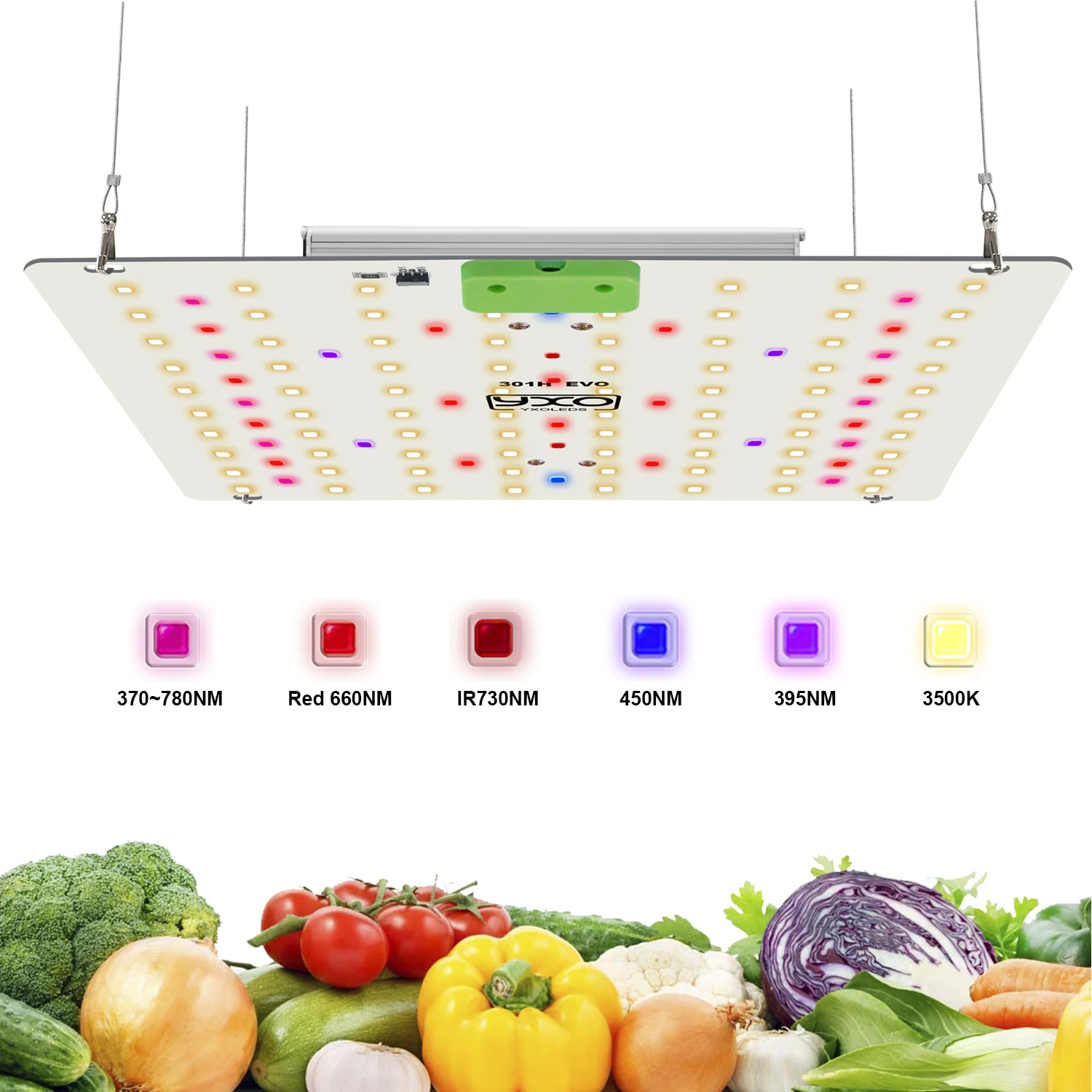 

LM301H EVO LED Growth Lamp with 65W 120W 180W Infrared Growth Lamp for Hydroponic Horticulture Indoor Plant Growth Lamp
