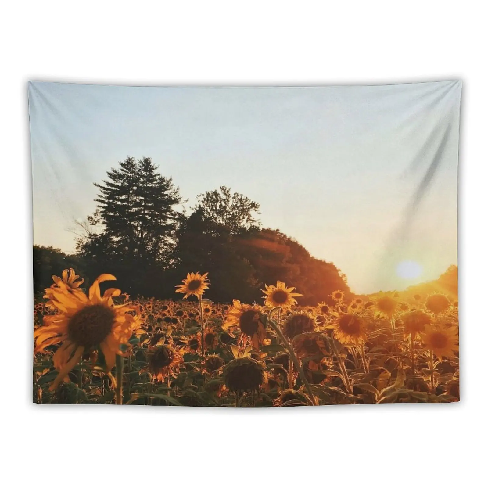 

Sunflower Field Tapestry Things To Decorate The Room Decorative Paintings Wall Deco Tapestry