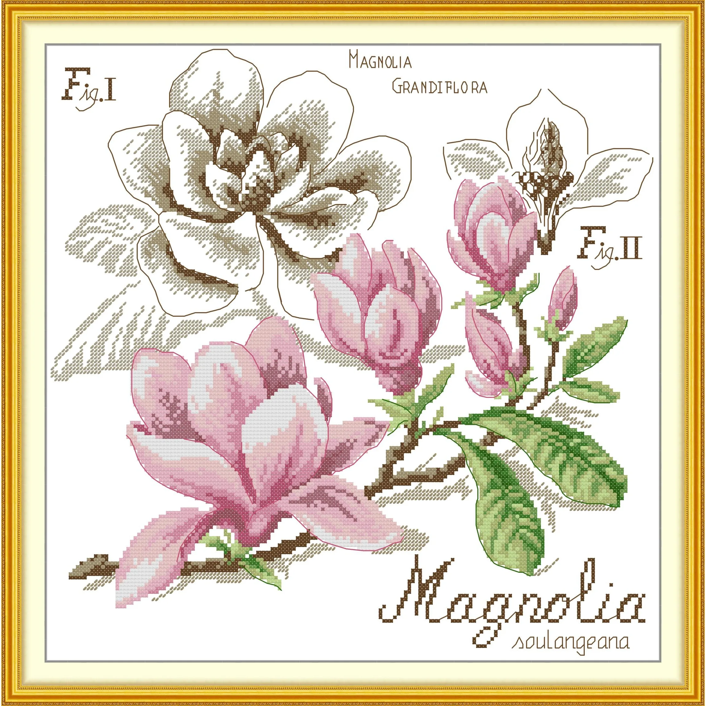 News Pre-Printed Cross Stitch Kit, Stamped Aida Fabric With DMC Threads, Embroidery Kit - Magnolia