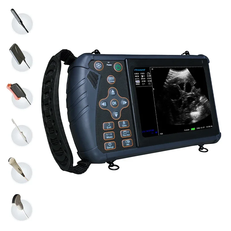 Wh-57 Veterinary Ultrasound For Animal Ecografo Portatil Portable Wireless Ultrasound Machine Price