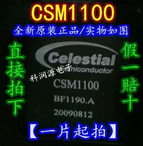 CSM1100 BGA-352/