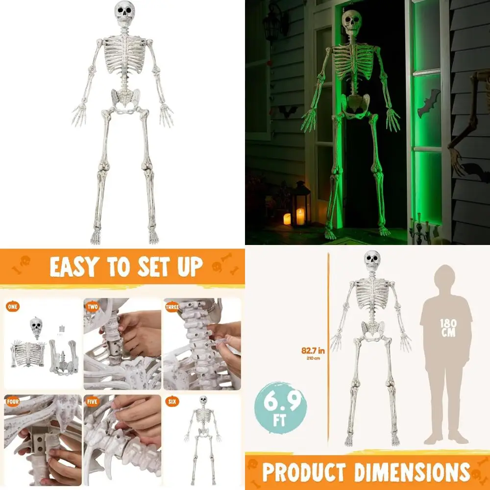 

Halloween Full Body Posable Life Size Skeleton with Realistic Bones and Movable Joints for Indoor Decorations