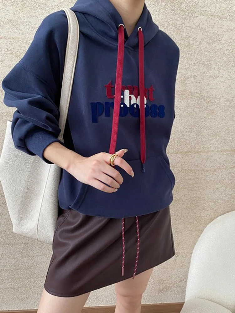 [LANMREM] Embroidery Design Pullover Sweatshirt Women Contrast Color Hooded Casual Loose Warm Female Tops 2024 Autumn New 26C647