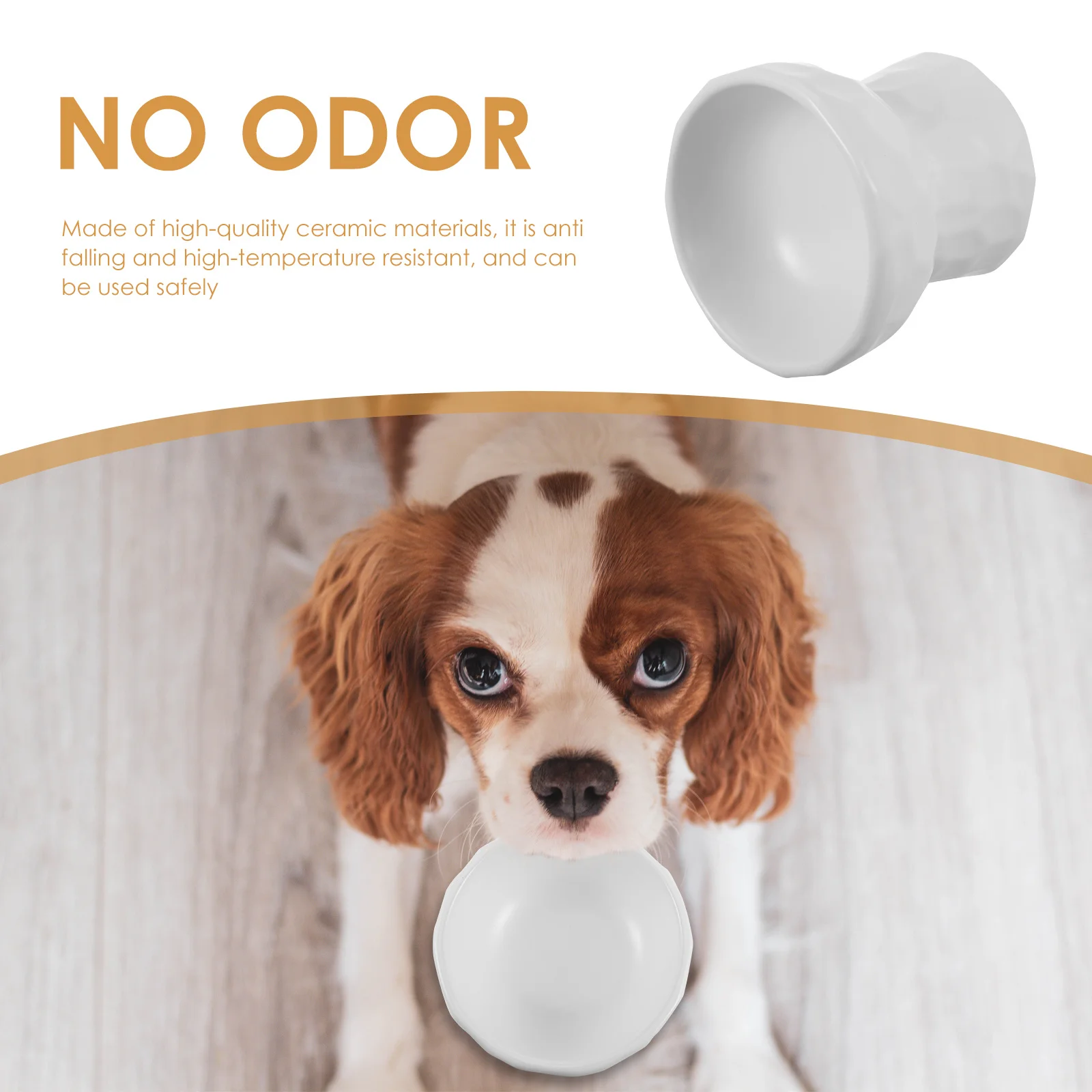 

Elegant Ceramic Cat Food Bowl with Smooth Surface and Stable Base Easy to Clean Pet Feeding Bowl for Kitten Dog Water Container