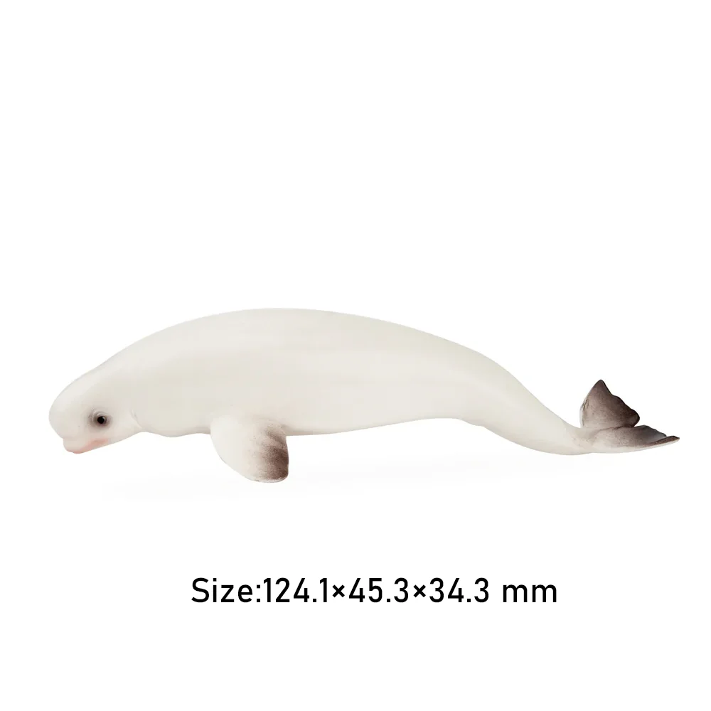 Toymany Simulation Beluga Whale Ocean Animal Model Toy Mini Figures Dolls Action Figurines Toys Children Gift Cake Decoration