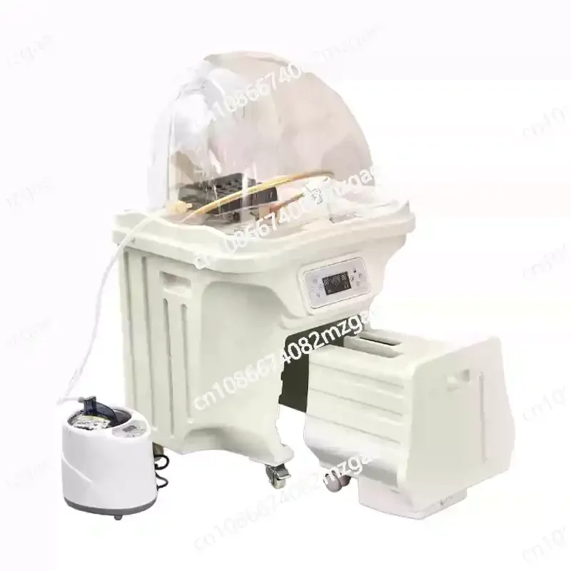 Spa Shampoo Bed Head Spa Bed Shampoo Chair Massage Bed Adjustable Washing Hair Bowl Multifunctional