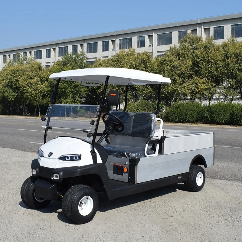 2 Seater Electric Golf Cart with Cargo Box CE Certified Utility Buggy for Resort Hotel Farm Community Transportation