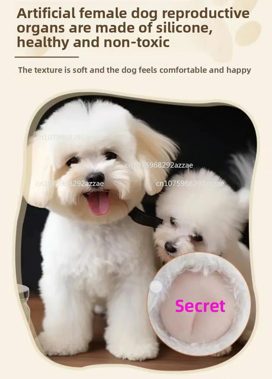 New in Stock Pet Teddy Toy Dog Boredom Relief