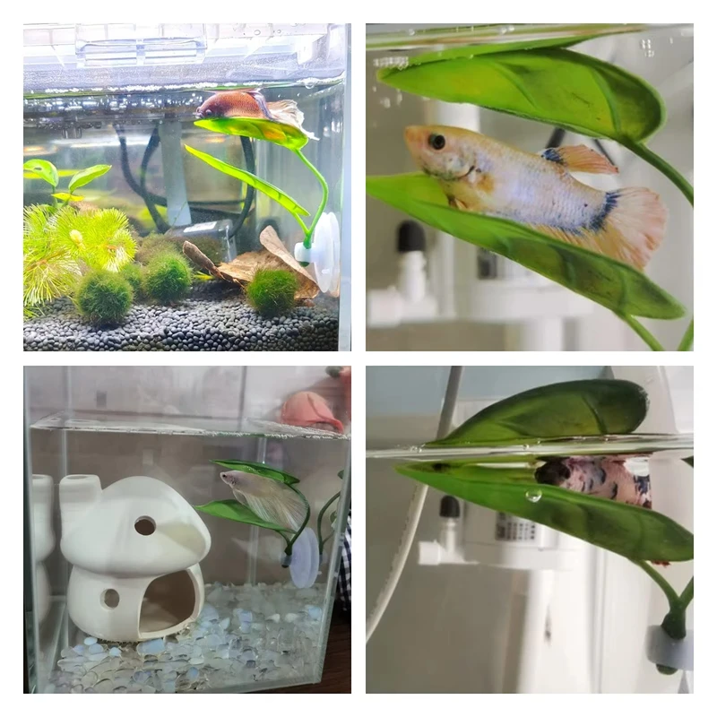 Suministros para Acuarios, Dec - Planted Aquarium Betta reseña y precio