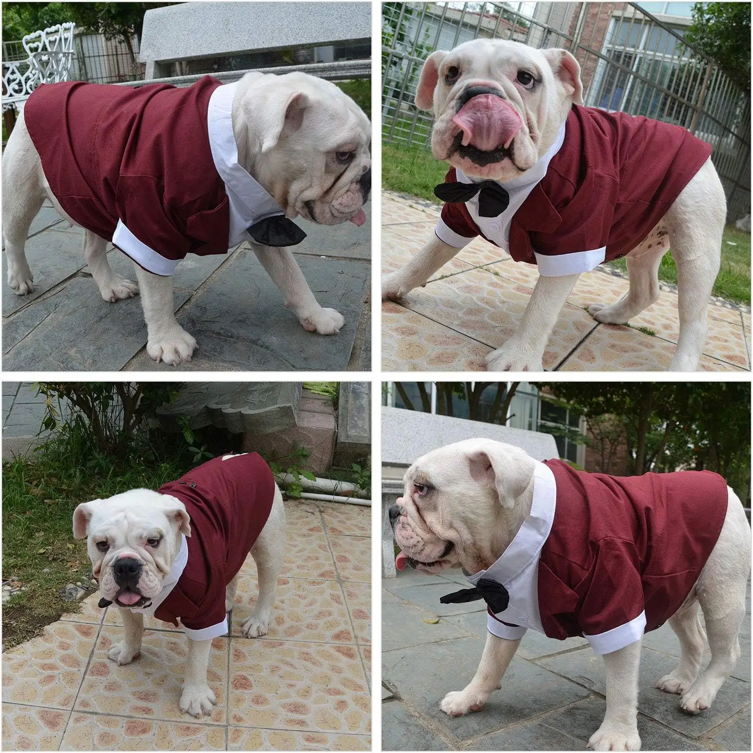 Formal Tuxedo Costume with Bow Tie for Dogs, Dog Suit, French Bulldog, English Bulldog, American Pit Bull