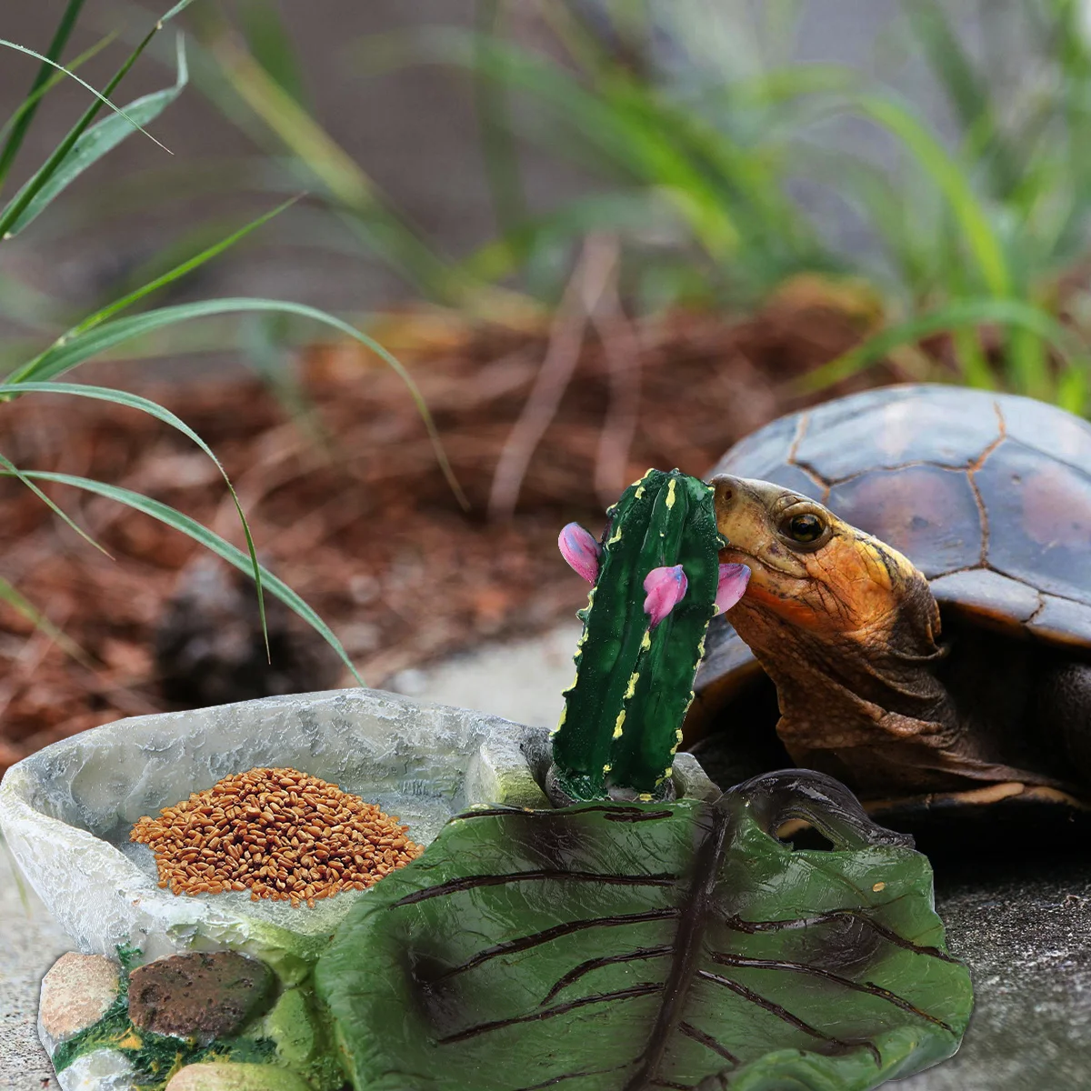 

Absorbent-free Pet Bowl Crawler Food Dish Reptile Lizard Drinking Lasting Tortoise