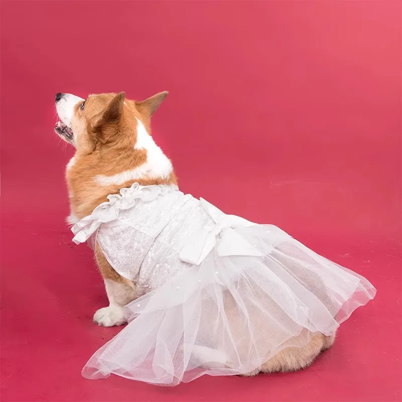 Dog Wedding Dresses Medium Large Corgi Shiba Inu Golden Retriever Samoyed Labrador Photography Portrait New Dog Princess Dresses