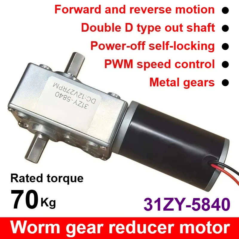 Double-axis Worm Gear Reducer Motor 31zy-5840  Power-off Self-lockingCW/CCW High-torque Miniature Metal Motor DC 12/24V