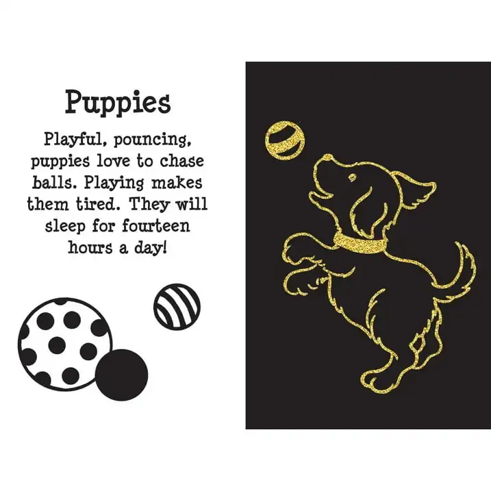 Furry Friends Scratch and Sketch, Furry Friends