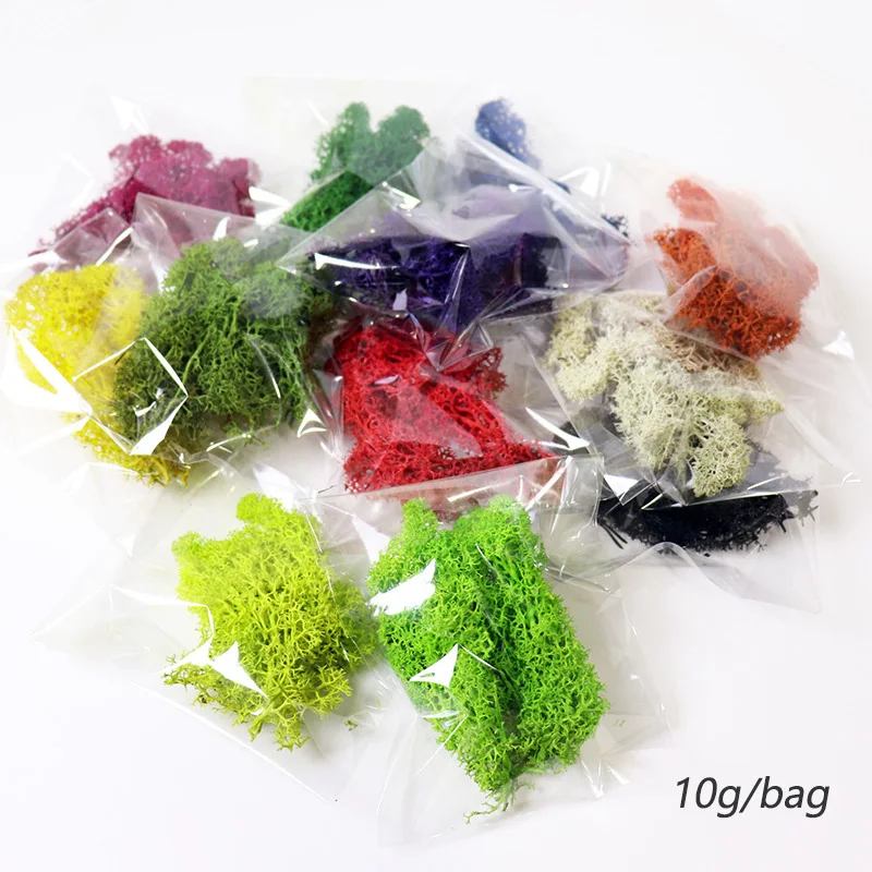 10g/bag Simulation Mini Moss Plant Material for Sand Table Landscape Layout DIY Model Kit Diorama Accessories