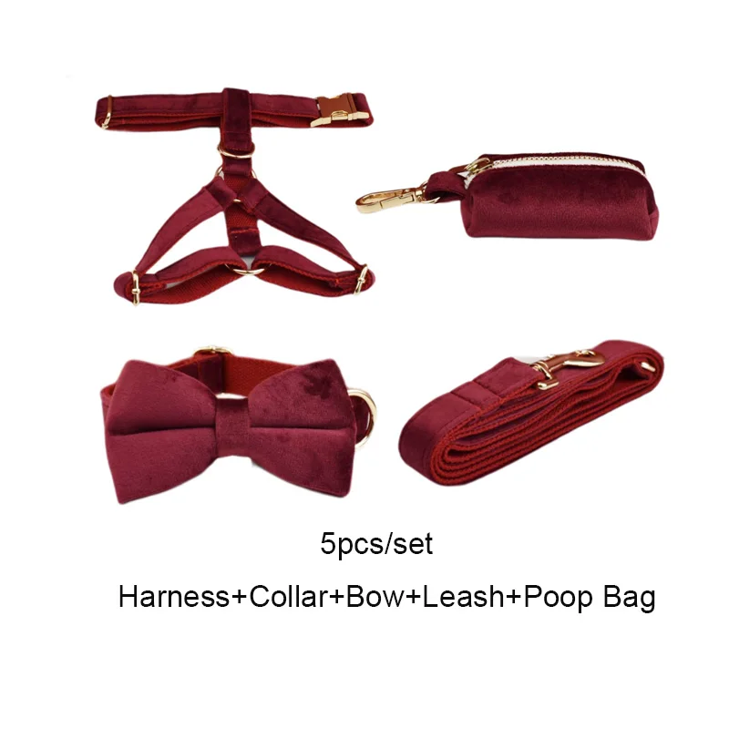 Conjunto de collar y correa de terciopelo para perro con placa_voghion.com