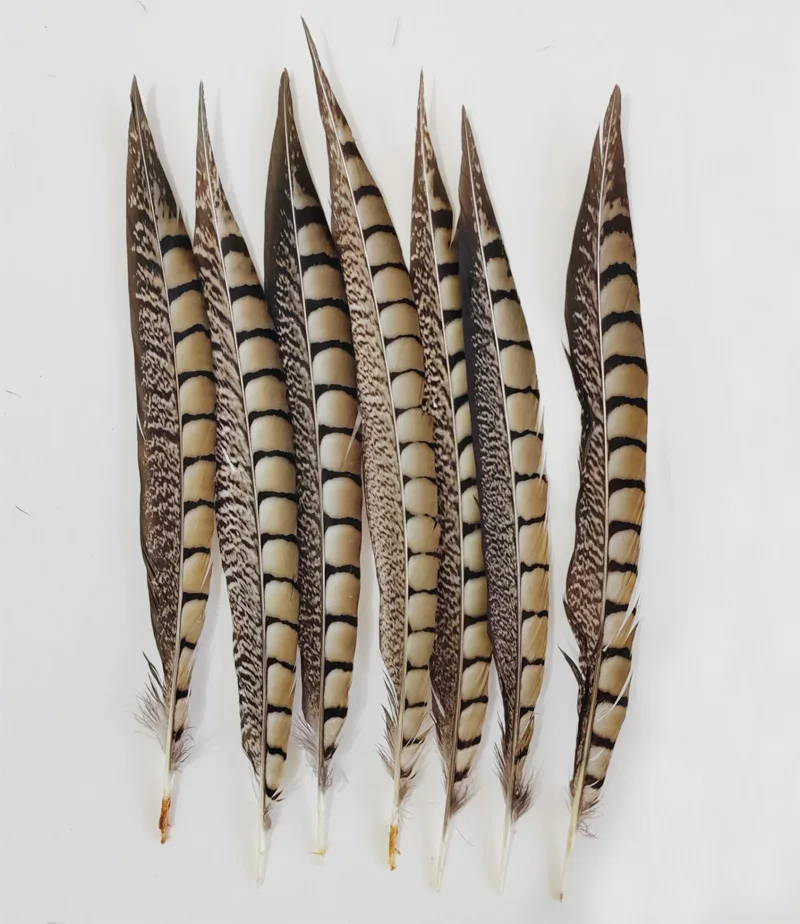 10/50Pcs/Lot!10-40cm Lady Amherst Pheasant Tail Feathers Wholesale Loose Feathers DIY Jewelry Stage Performances Decoration