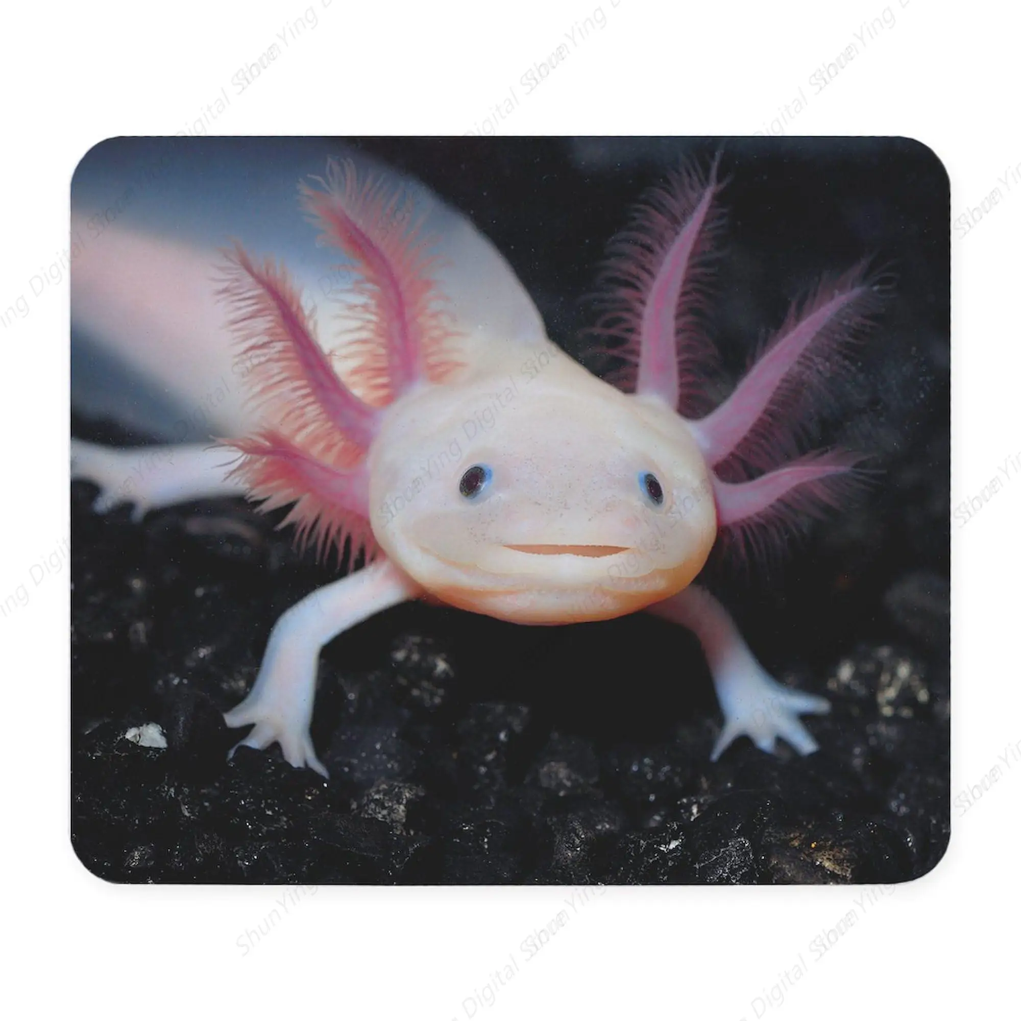 Axolotl Animal Anti Slip Rubber Gaming Mouse Pad Suitable For Gaming Office Laptop Mouse Pad 18*22cm