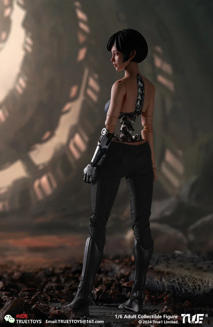 

In Stock Genuine Artificial Man Ala FT0830 1/6 Female Soldier Anime Model Toys for Boys Gifts Original Box