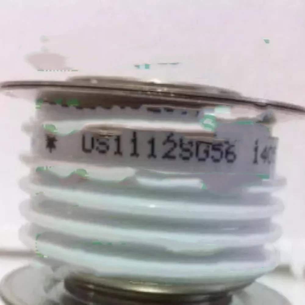 

DS1112SG56