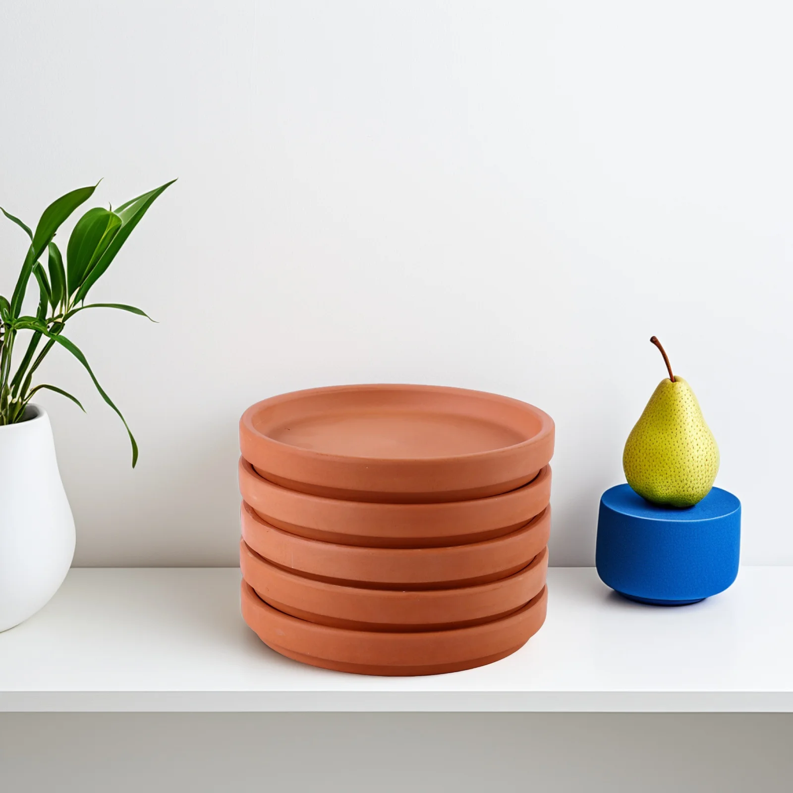 

5 Pcs Indoor Plants Flowerpot Mat Pots for Clay Saucers with Drainage Drip Tray Terracotta Small Elderly