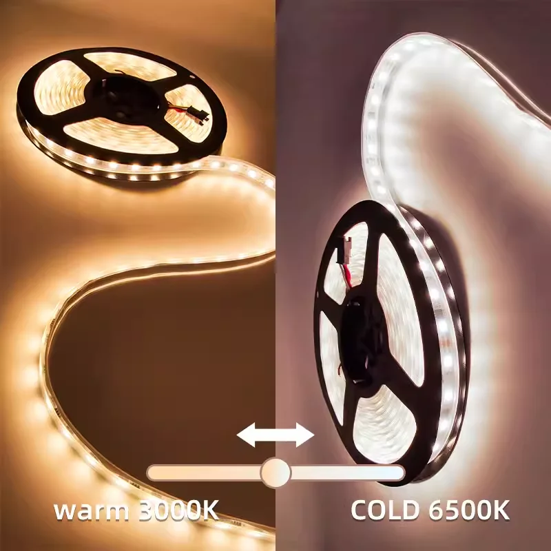 DC12V WS2811 Adressierbarer LED-Streifen für Pferderennen, 5050, einfarbig, weiß, warmweiß, Pixel-LED-Streifen, externe Steuerung, 30/60 LED/M, 5 m