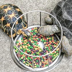 304 Stainless Steel Tortoise Turtle Feeder Pet Supply Semi-Water Food Dispenser Bowl Feeding Tool Reptile Basin Home Water Dish