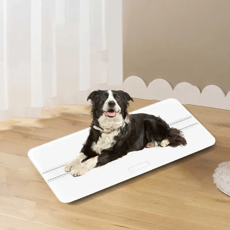 

High precision electronic scale parcel electronic parcel scale pet scale