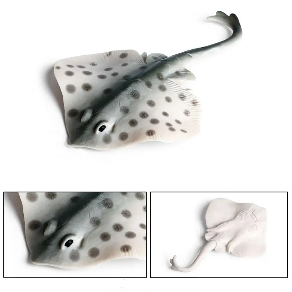 Simulation Manta Ray Model Fish Model Miniature Ocean Animal Figures Cognition Marine Sea Life Action Figurines Collection
