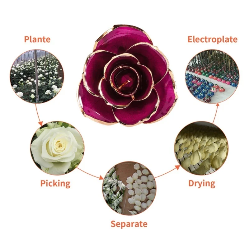 F9 Artificial Rose Gold Dipped Trimmed Rose Preserved Rose Personalised Anniversary Gifts For Women On Birthdays Mother'S Day