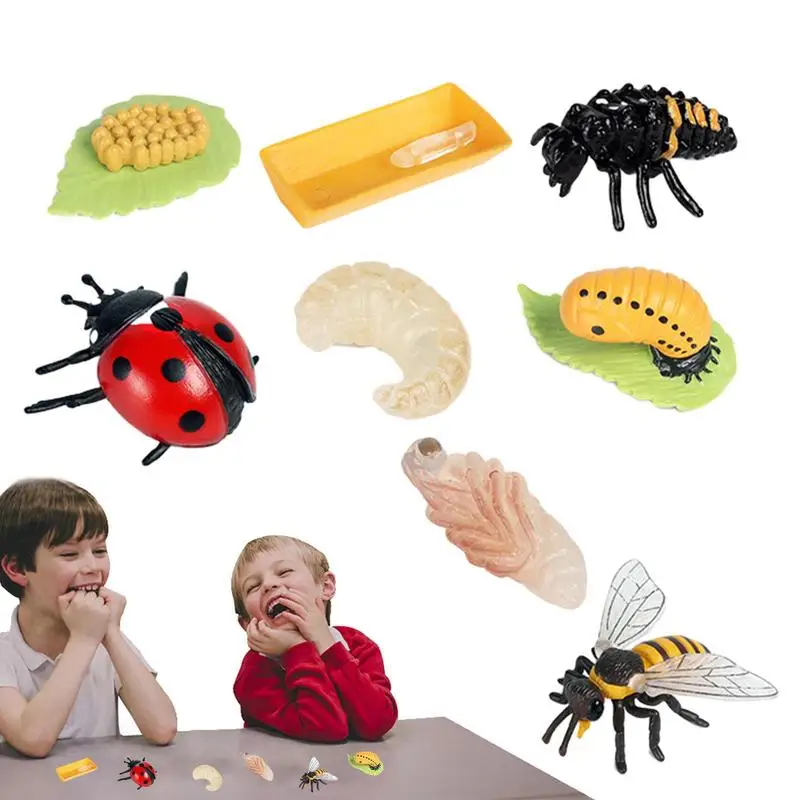 Biology Science Education Toys Life Cycle Figures Toys Realistic Ladybug And Bee Life Cycle Kit Ladybug Toys Farm Animal Growth