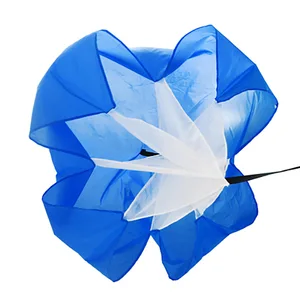 10 principais vendas nigeria futebol - №10