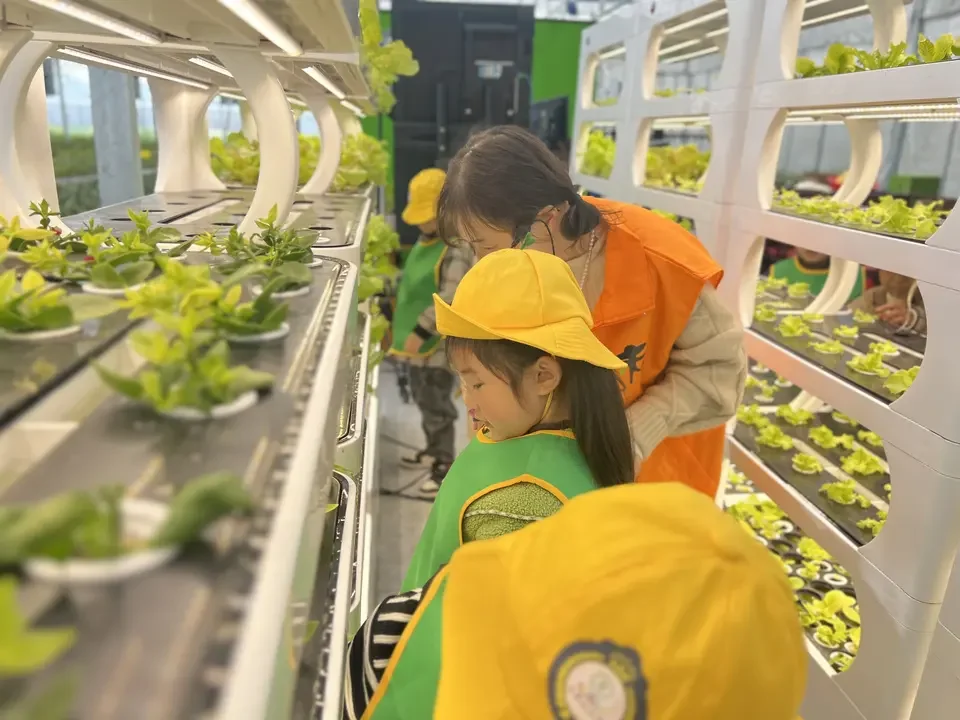 آلة النمو الذكية الداخلية LED تنمو الخضار داخلي حديقة ذكية المائية